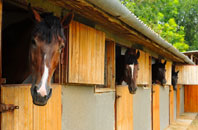 free Heale stable construction quotes